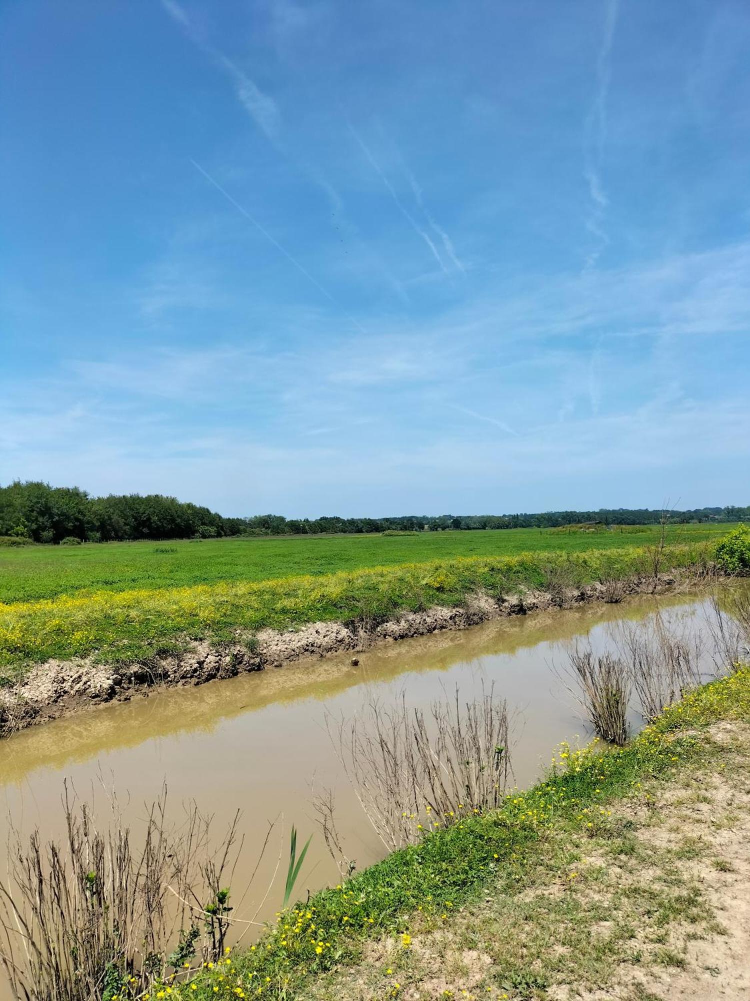 Studio Proche Des Thermes, Des Barthes, Des Plages Et De Dax ! Saubusse Buitenkant foto